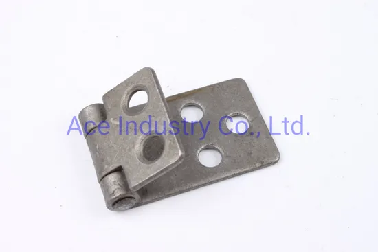 Metallstanzteile/Stanzteile/Scharniere/Gemel/OEM ODM sind willkommen E10237